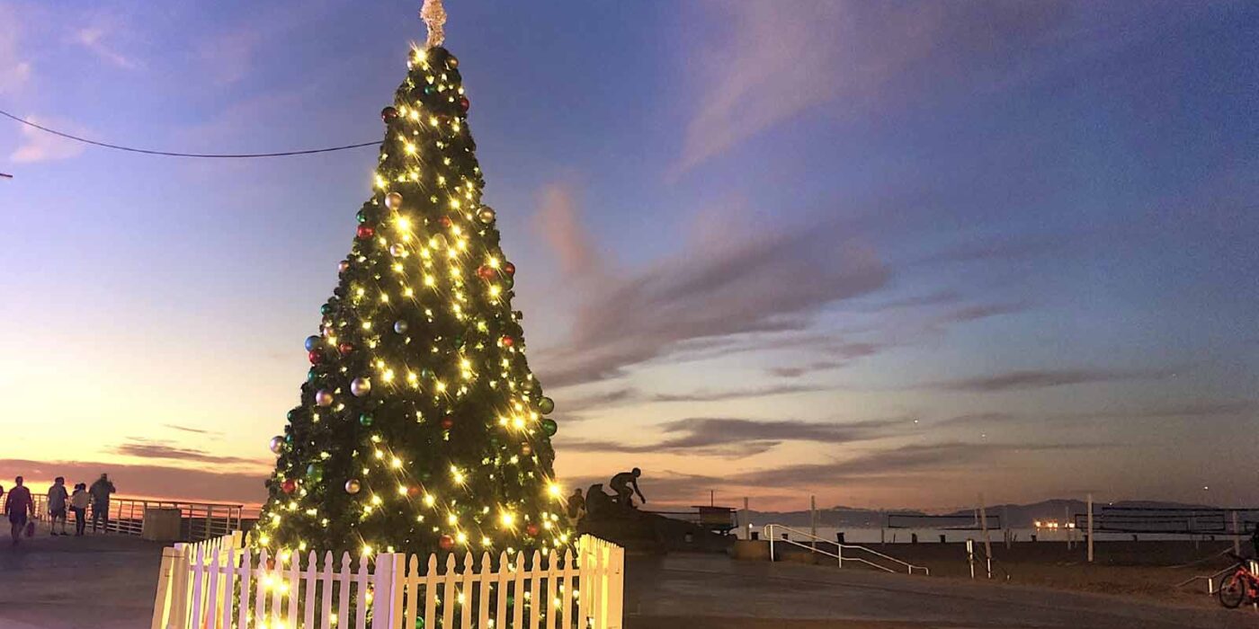 Christmas tree on Pier Plaza in Hermosa Beach slider image