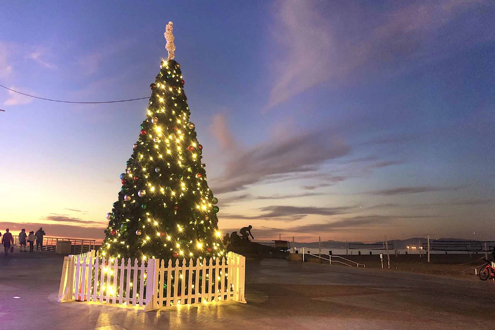 Christmas tree on Pier Plaza in Hermosa Beach slider image