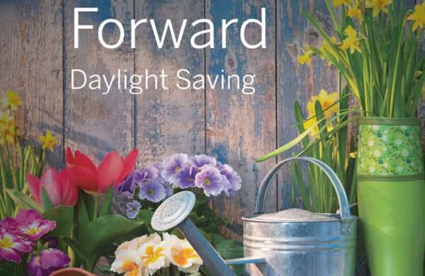 Daylight savings spring forward